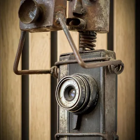 Rose Ecrin De Charme Avec Parking Terrasse Privee Et Jardin Partage *