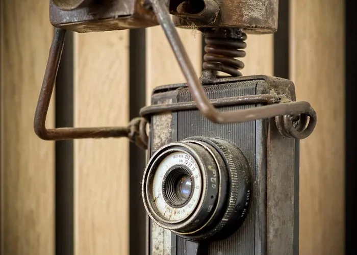 Rose écrin De Charme Avec Parking Terrasse Privée Et Jardin Partagé *