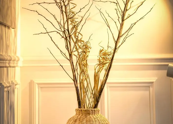 Rose écrin De Charme Avec Parking Terrasse Privée Et Jardin Partagé